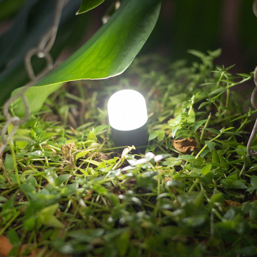 biolite site lights