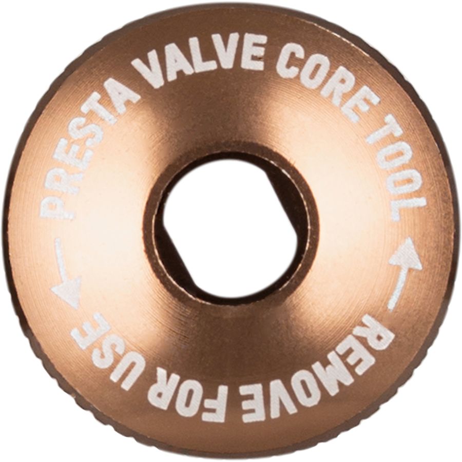 blackburn pro plugger