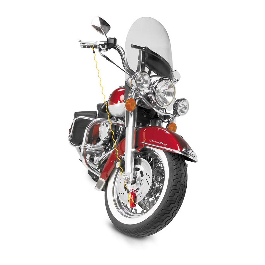 bully disc lock reminder