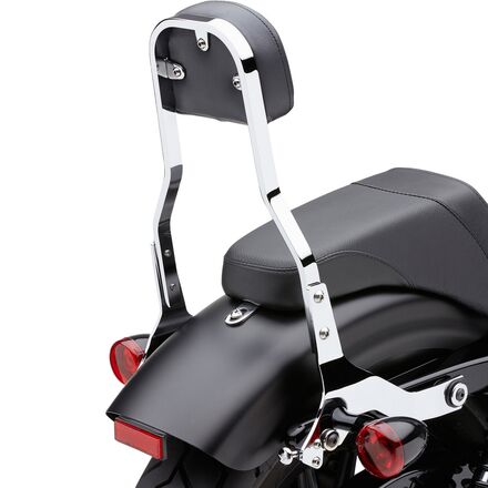 cobra detachable short sissy bar