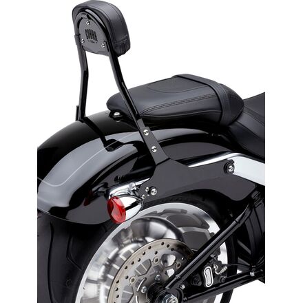 cobra detachable mini sissy bar