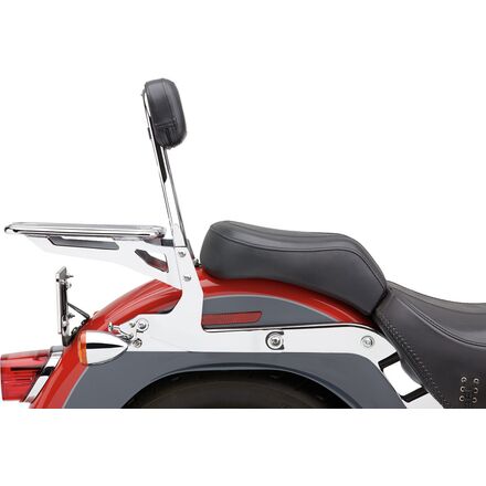 cobra detachable sissy bar