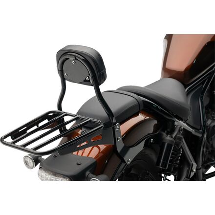 cobra mini sissy bar