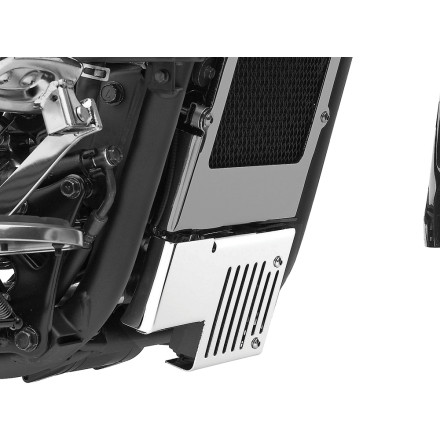 cobra regulator cover