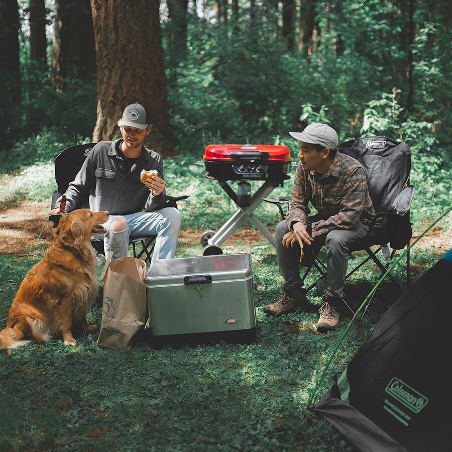 coleman roadtrip 285 su grill 24 coleman roadtrip 285 su grill