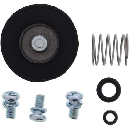all balls accelerator pump rebuild kit