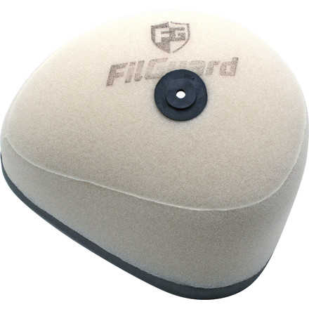 filguard premium dual stage air filter